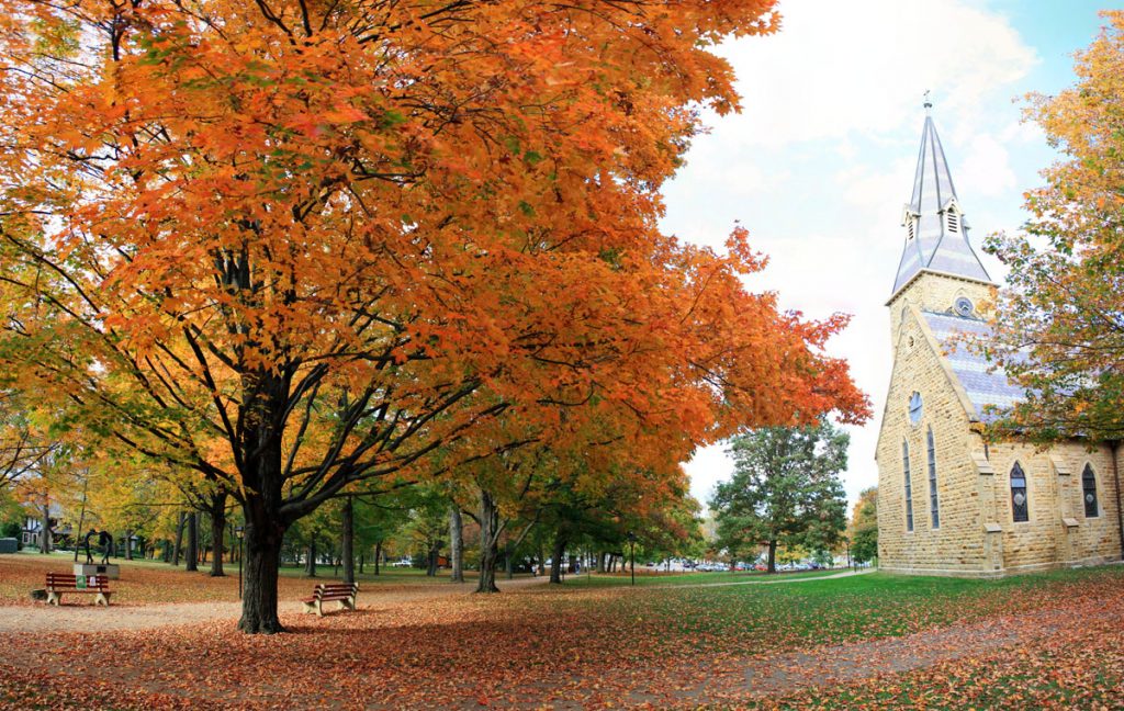 Panorama Week - Fall Comes to Kenyon - Nicko Margolies