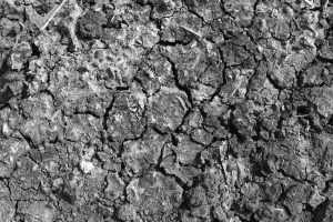 cracked-earth-texture