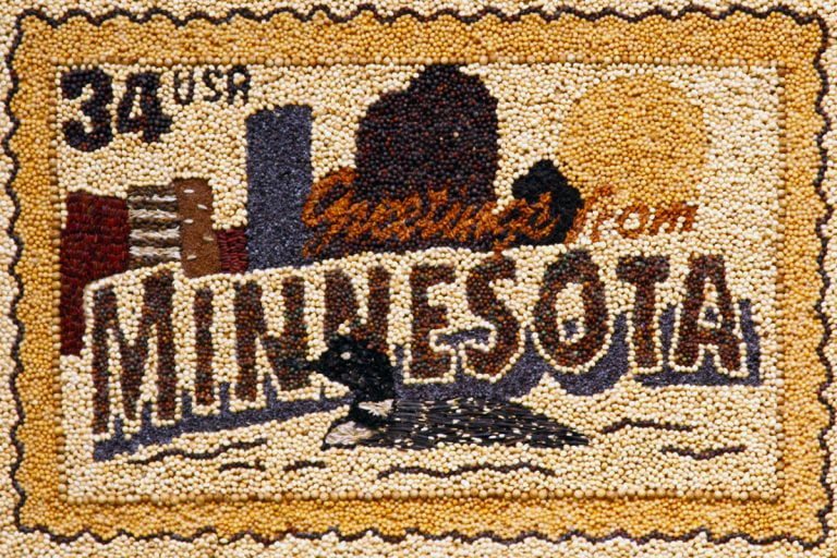 minnesota-seed-art-nicko-margolies