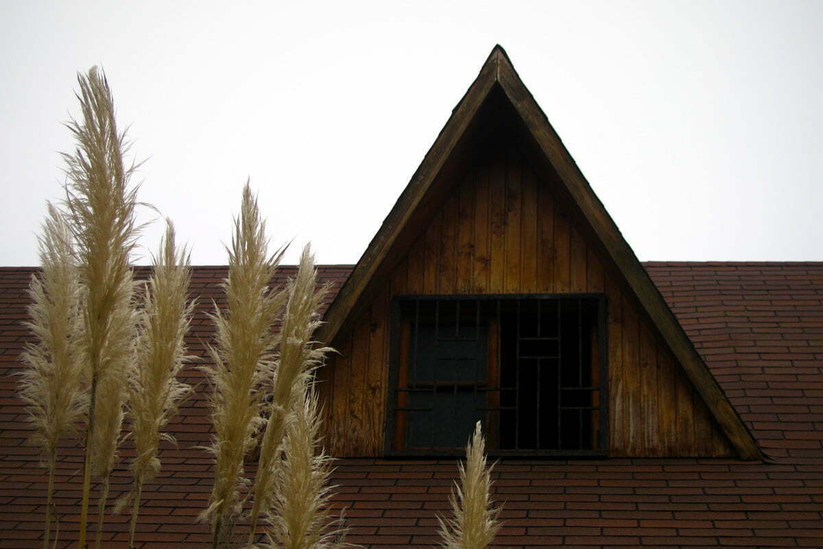 The roof of a country home behind a few stalks of tall grains.