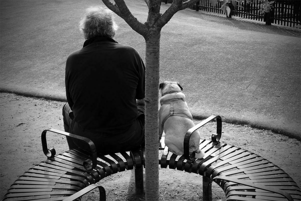 A black and white photo of a similarly shaped man and dog sitting in the park watching others play.