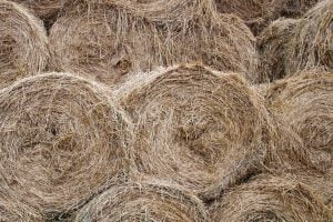 A large pile of hay stacked in bales.