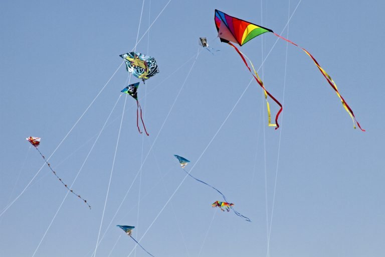 Kites Amid Strings Nicko Margolies