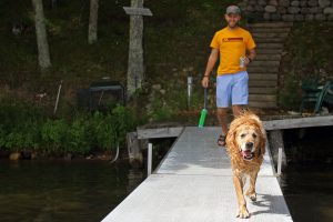 A wet golden retriever dog runs down a dock with his tongue out looking forward to jumping in the lake.