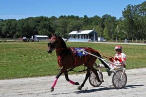 A sulky driver and trotter harness racing around a track in Maine.