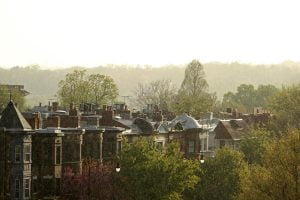 A row of townhouses and trees seen through a sunny spring rain in Washington DC.