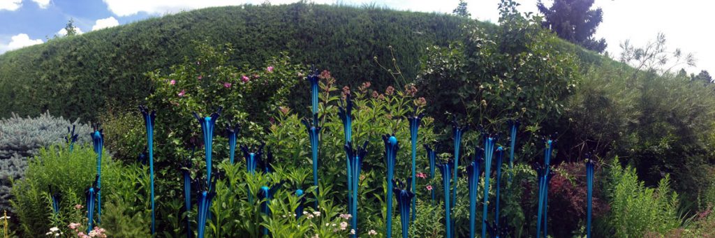 A panoramic photo of Chihuly's blue glass sculptures comes out of a flower bed at the Denver Botanic Gardens in Colorado.