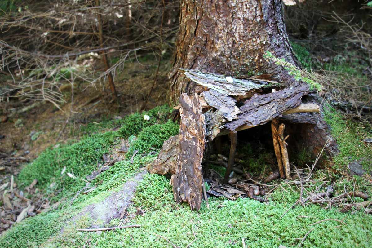 A fairy house made of sticks, bark and moss is seen on the forest hiking trail along Monhegan Island in Maine.