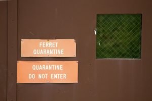A sign warning visitors about a Ferret Quarantine seen at the Smithsonian Conservation Biology Institute in Front Royal, Virginia.