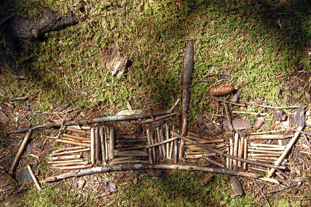 An arrangement of sticks to form a boat in some forest moss on Monhegan Island in Maine.
