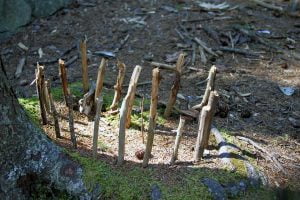 A circle of sticks seen near the fairy houses on Monhegan Island in Maine.