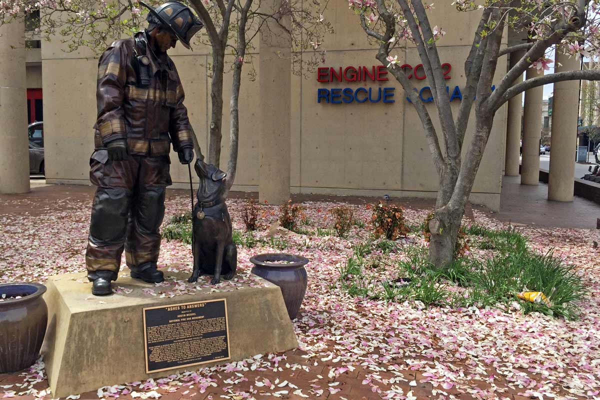 A picture of the "Ashes to Answers" National Fire Dog Monument among cherry blossom leaves in Washington DC.