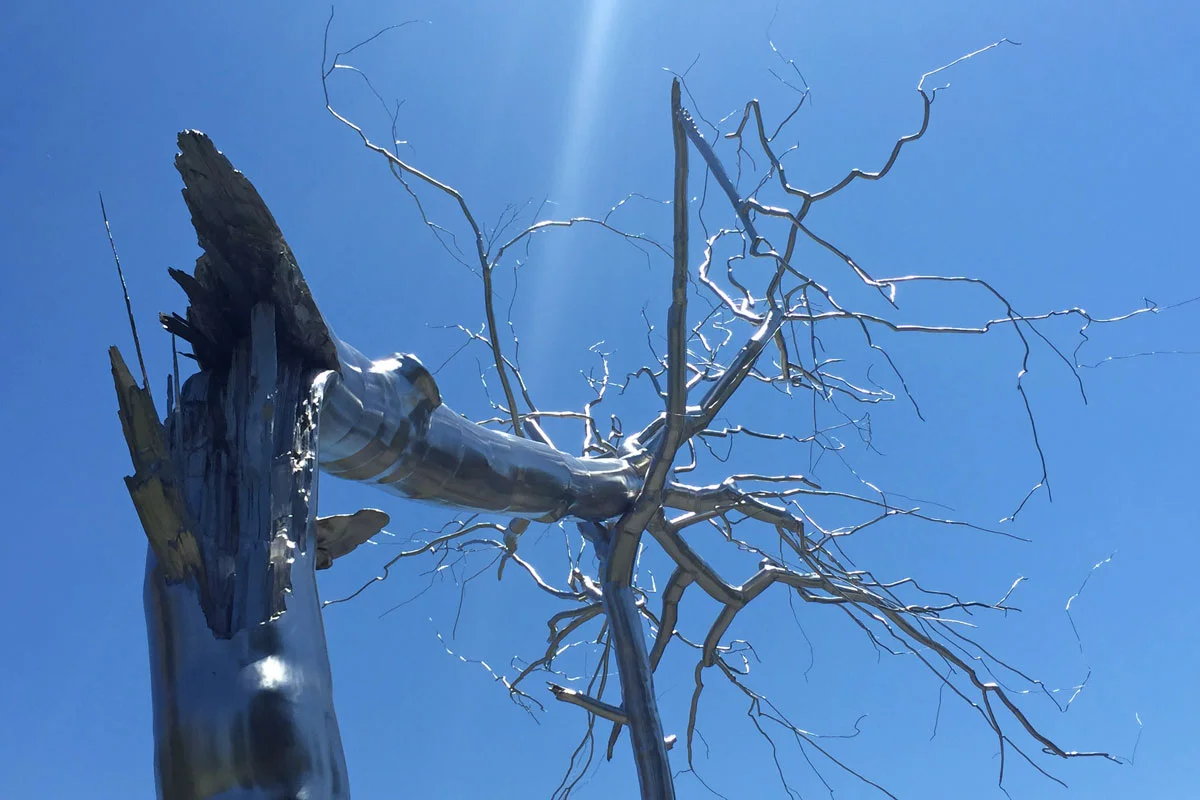 A photograph looking up at the 'Symbiosis' sculpture by Roxy Paine of a metal tree splintered and collapsed into another tree.