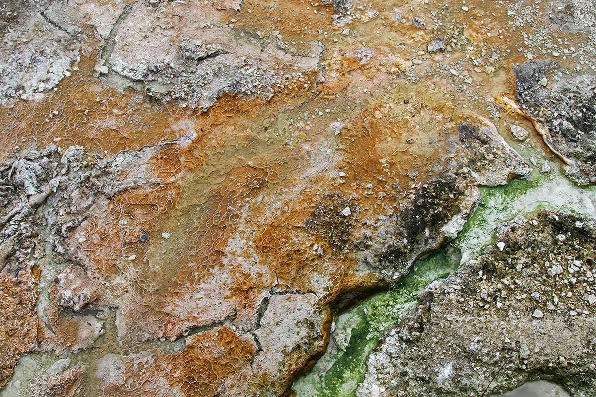 The ground in the geyser basin of Yellowstone National Park in Wyoming includes a broad mix of colors due to the geothermal features in the area.