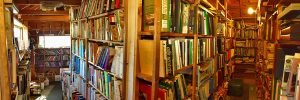 A panoramic view down the packed stacks of the Lobster Lane Book Shop in South Thomaston, Maine.